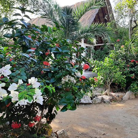 Esencial Tulum Hotel ภายนอก รูปภาพ