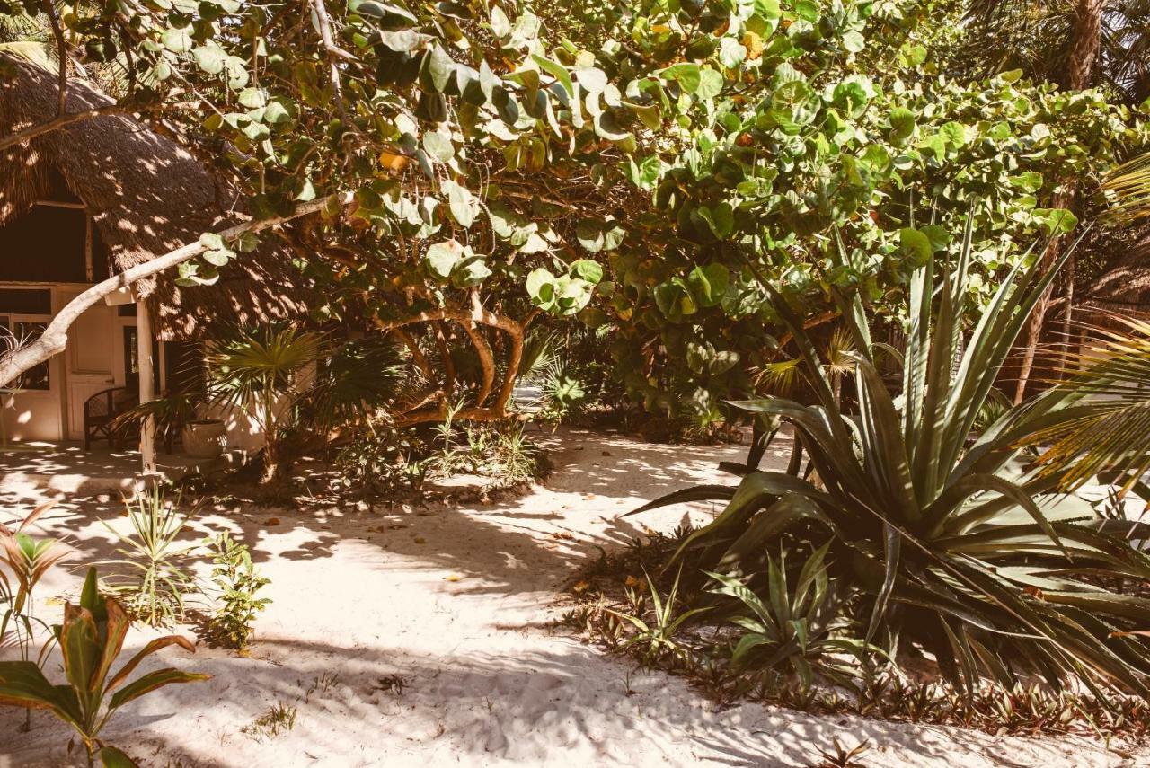 Esencial Tulum Hotel ภายนอก รูปภาพ