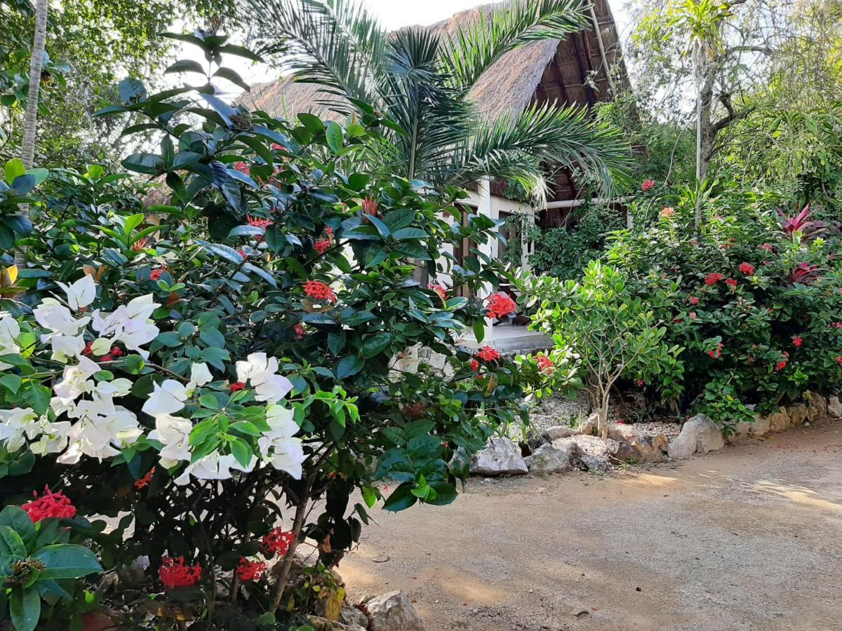 Esencial Tulum Hotel ภายนอก รูปภาพ