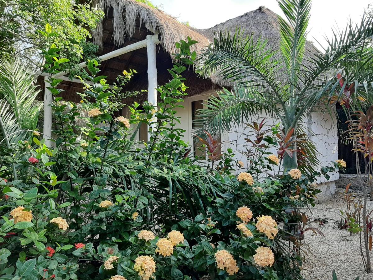 Esencial Tulum Hotel ภายนอก รูปภาพ