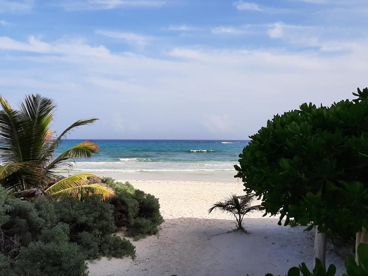 Esencial Tulum Hotel ภายนอก รูปภาพ